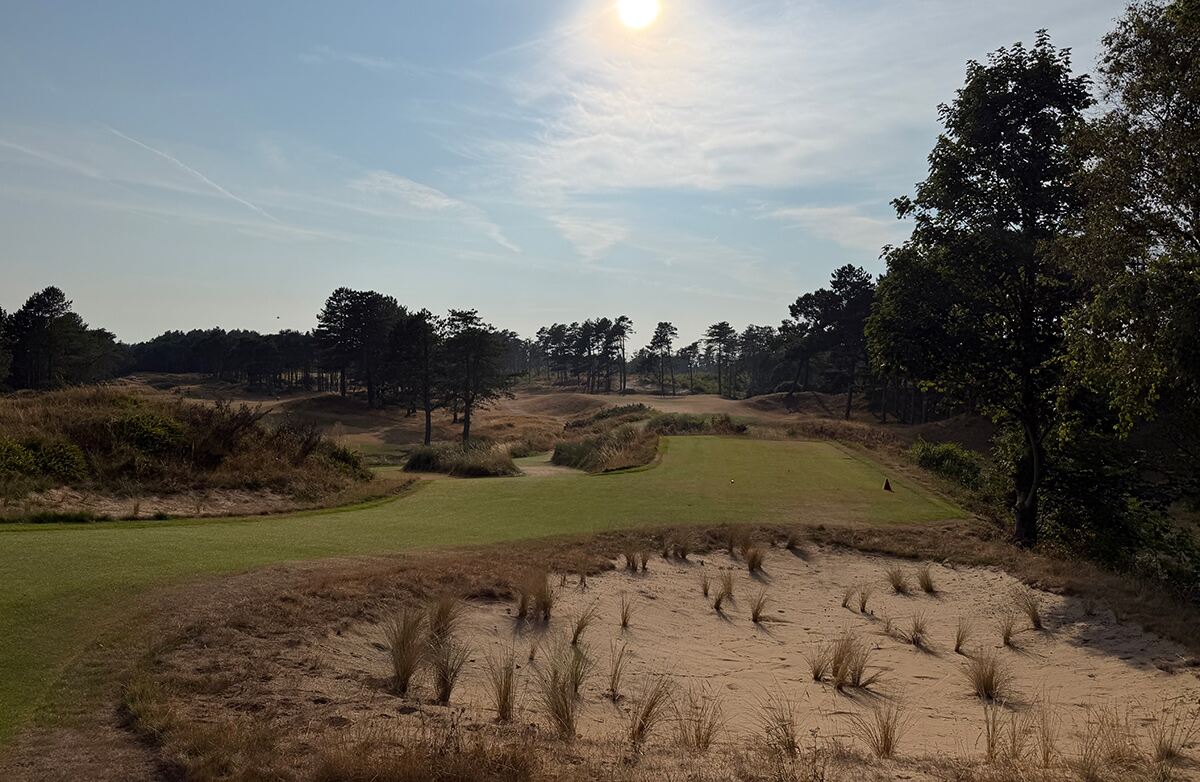 Formby Golf Club: pines, revetted sand and a hippo with a steel tooth