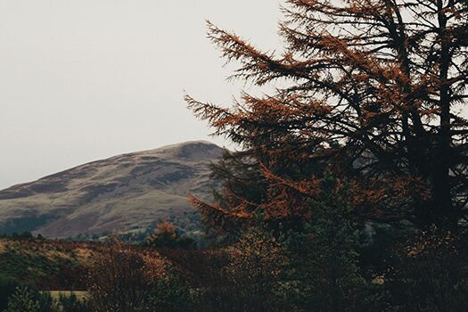 Glorious Gleneagles - The Glenmuir Journal