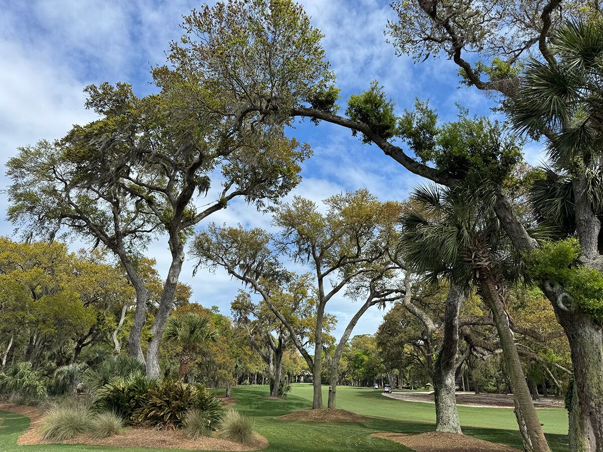 Harbour Town Golf Links: a round at Pete Dye’s first masterpiece