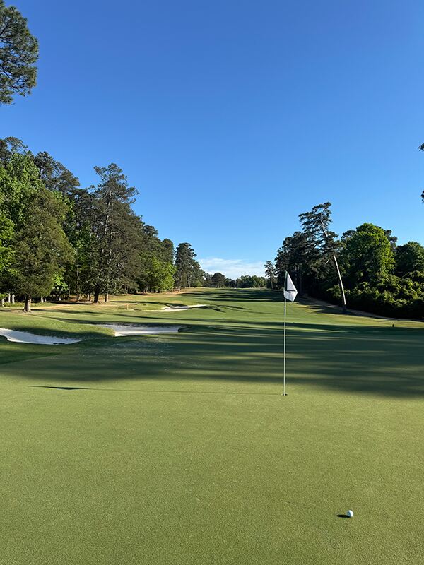 Palmetto Golf Club: The Course You Can Only Play One Week A Year