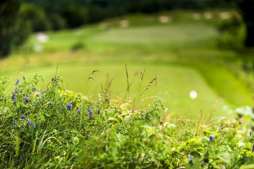 Environmentally Friendly golf Environmentally Friendly golf