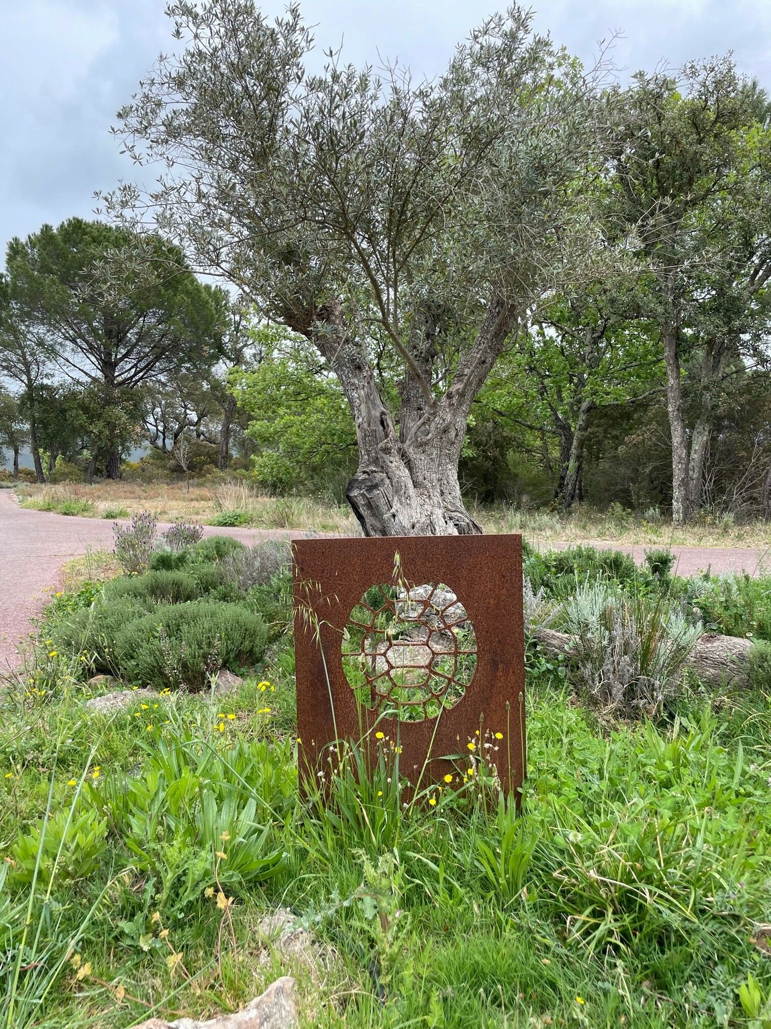 The Hermann Tortoise logo - a nod to Vidauban's environmental credentials